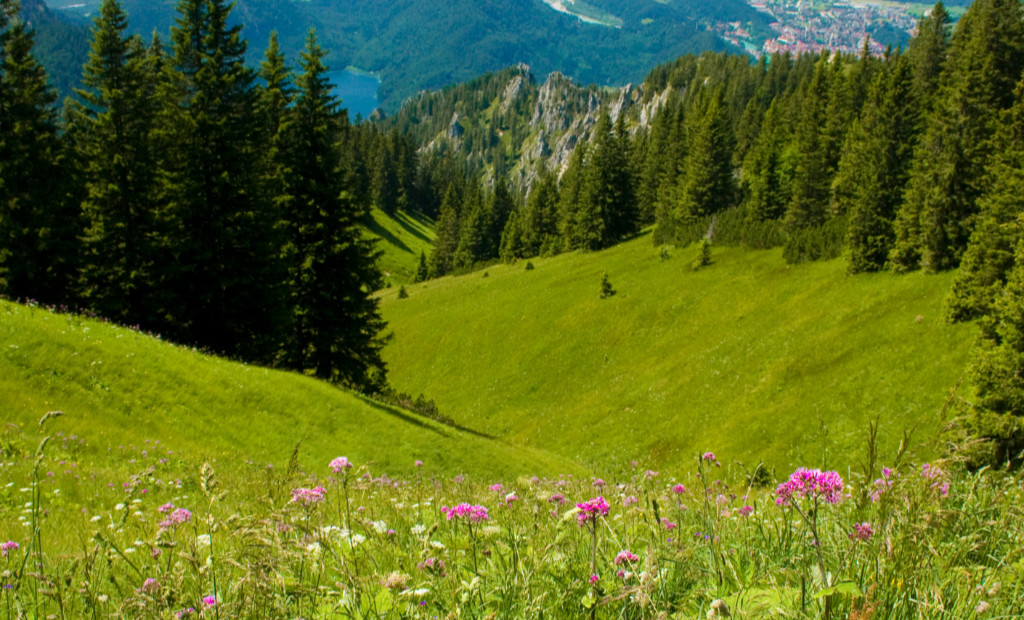 Idyllic pastures in mountains